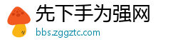 先下手为强网